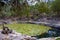 Cenote Xlakah at Dzibilchaltun a Mayan archaeological site near Merida, Yucatan, Mexico