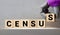 CENSUS word on wooden cubes