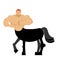 Centaur fairytale creature. Man horse isolated. Fantastic animal