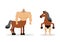 Centaur mythical creature. Half horse half person. Sports creature. Fairy-tale characters athlete. Man horse