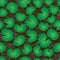 Centella Asiatica seamless pattern