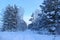 In the center of the photo â€“ the road, covered with snow. On the sides of the road are trees.