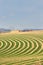 Center pivot irrigated farm field