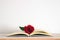 A centered open book with a red rose flower on it