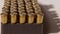 Centerfire .44 magnum bullets lined up in their case