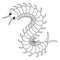 Centipede Animal Isolated Coloring Page for Kids
