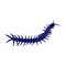 Centipede logo vector design template, Silhouette Centipede logo animal, Illustration