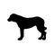 Central Asian Shepherd Dog. Black silhouette of a dog on a white background