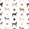 Central asian shepherd seamless pattern. Different poses, coat colors set