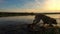 Central Asian Shepherd swims in a pond during sunset, slow motion