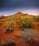 Central Australia Desert Land