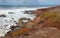 Central California rocky coast at Fiscalini Ranch Preserve at Cambria California United States