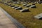 Central cemetery. Belarus. Minsk. Tombs of soldiers of ww2. Earl