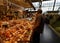 Central covered market, the Kleinmarkthalle