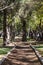 Central dirt trail or sidewalk between an avenue with leafy trees