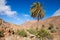 Central Fuerteventura, Barranco de las Penitas