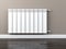 Central heating radiator