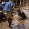 Central Kalamantan, Indonesia, May 20, 2022 - Woman competes in trying to catch a fish with her bare hands