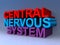 Central nervous system