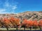 Central Otago mountains in acfine day with blue sky and reddish coloured autumn trees