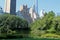 Central Park and buildings reflection in midtown Manhattan, New York