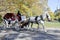 Central Park Carriage Ride