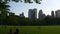 Central park famous sunset sheep meadow walking panorama 4k new york usa