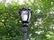 Central Park lamppost