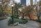 Central Park, New York City autumn scene