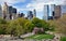 Central Park & NYC Skyline