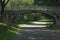 Central Park Path and Bridge