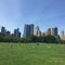 Central Park Sheep\'s Meadow