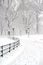 Central Park in the snow after snowstorm, New York City