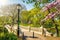 Central park at spring, New York