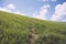 Central path made through angled grass hillside