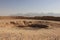 The central pit of the tower of silence at Yazd, Iran.