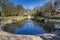 Central pond in the Noorderplantson park in Groningen