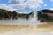 Central Pools of Wai-o-Tapu, Thermal wonderland