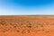 Central Queensland Arid Land - Queensland Australia