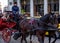 Central Vienna, Hofburg, Austria, February 20, 2020: Traditional carters fiakers on their horse-drawn carriages with clients