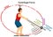 Centrifugal force infographic diagram for physics science example athlete playing hammer game