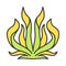 Century plant color icon