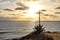 Century Plant and Pelican At Sunset Cliffs Park in San Diego, California