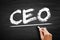 CEO Chief executive officer - highest-ranking person in a company, acronym text on blackboard