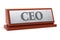 CEO Chief Executive Officer job title