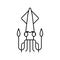 cephalopod squid ocean line icon vector illustration