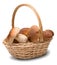 Ceps in basket