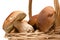 Ceps in basket