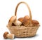 Ceps in basket