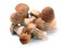 Ceps mushrooms